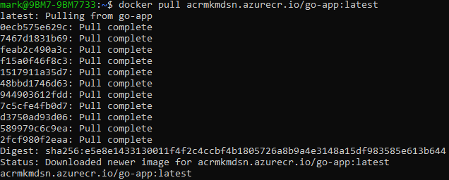 dockerPull