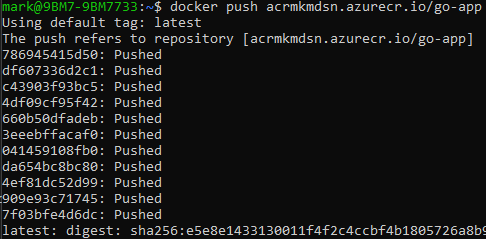 dockerPush